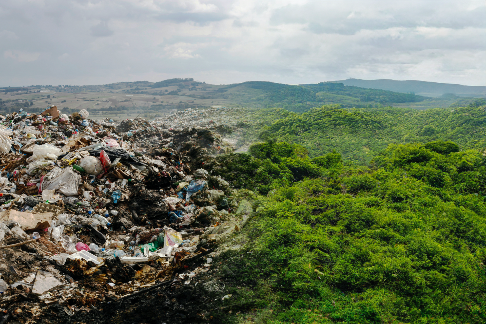 Half of the picture presents the pollution an the other half presents green